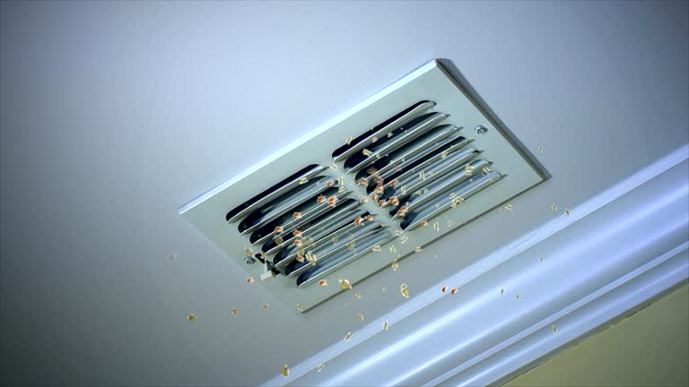 Best Affordable Duct Cleaning Services  in Uintah, UT